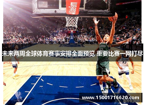 未来两周全球体育赛事安排全面预览 重要比赛一网打尽