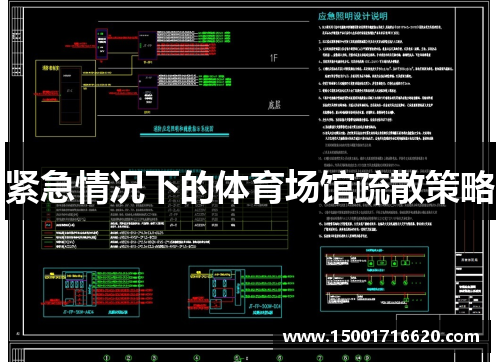 紧急情况下的体育场馆疏散策略